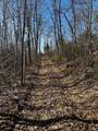 0 Upper Crab Rd - Photo 5