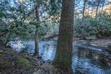 139 Mountain Laurel Trl - Photo 53