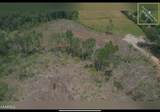 88 acres Sparta Hwy - Photo 2
