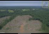 88 acres Sparta Hwy - Photo 3