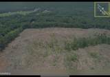 88 acres Sparta Hwy - Photo 4