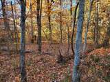 Lot 29 Woodland Trl - Photo 3