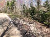 Lot 9 Livingston Hwy - Photo 2