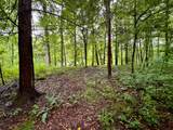 0 Old Genesis Rd. - Photo 15