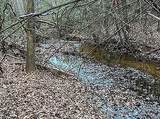 Lot 11 Camp Creek Rd. - Photo 10