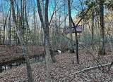 Lot 11 Camp Creek Rd. - Photo 13