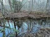 Lot 11 Camp Creek Rd. - Photo 20