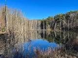 Lot 11 Camp Creek Rd. - Photo 21