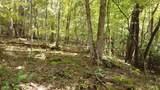Lot 11 Camp Creek Rd. - Photo 28