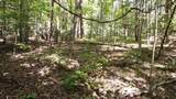 Lot 11 Camp Creek Rd. - Photo 29