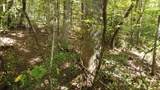 Lot 11 Camp Creek Rd. - Photo 31
