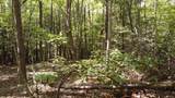 Lot 11 Camp Creek Rd. - Photo 39
