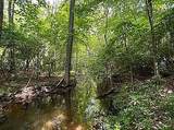 Lot 11 Camp Creek Rd. - Photo 5