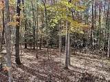 Lot 11 Camp Creek Rd. - Photo 6