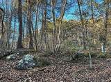 Lot 11 Camp Creek Rd. - Photo 9