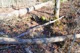 0 Sparta Highway 63.3 Acres - Photo 27
