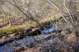 0 Sparta Highway 63.3 Acres - Photo 36
