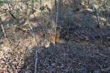 0 Sparta Highway 63.3 Acres - Photo 49