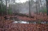 0 Sparta Highway 31.64+/- Acres - Photo 10