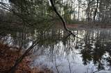 0 Sparta Highway 31.64+/- Acres - Photo 13