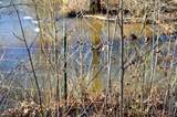 0 Sparta Highway 31.64+/- Acres - Photo 18