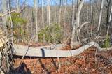 0 Sparta Highway 31.65 +/- Acres - Photo 10