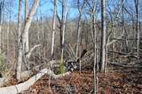 0 Sparta Highway 31.65 +/- Acres - Photo 13
