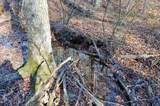 0 Sparta Highway 31.65 +/- Acres - Photo 17
