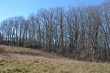 0 Sparta Highway 31.65 +/- Acres - Photo 6