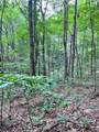 lot 340 Deep Branch - Photo 10