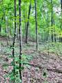 lot 340 Deep Branch - Photo 11