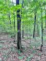 lot 340 Deep Branch - Photo 13
