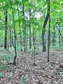 lot 340 Deep Branch - Photo 14