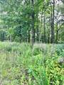 lot 340 Deep Branch - Photo 15