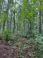 lot 340 Deep Branch - Photo 4