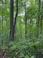 lot 340 Deep Branch - Photo 5