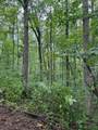 lot 340 Deep Branch - Photo 6
