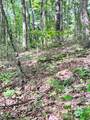 lot 340 Deep Branch - Photo 8