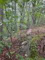 Lot 75 W Bobcat Lane - Photo 5