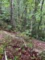 Lot 75 W Bobcat Lane - Photo 6