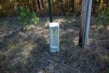 6 Acres Wilder Highway - Photo 3