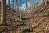 6.24 AC Hutchins Bend Rd - Photo 2