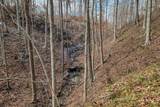6.24 AC Hutchins Bend Rd - Photo 3