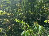 LOT 364A 6360 Wilder Hwy - Photo 15