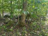 LOT 364A 6360 Wilder Hwy - Photo 18