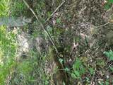 LOT 364A 6360 Wilder Hwy - Photo 27