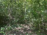 LOT 364A 6360 Wilder Hwy - Photo 33