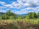 14.34ac Tomahawk Rd - Photo 11