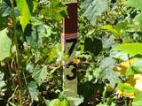 14.34ac Tomahawk Rd - Photo 40