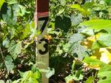 14.34ac Tomahawk Rd - Photo 41